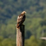 揭秘黑料网16:网络背后的真相与风险 64bek