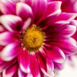 星辰影视:探索宇宙奇观与人类情感的完美结合 73p61vn