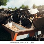 揭秘黑料吃瓜事件:秦嘉倪背后的真相与内幕 9uaeq0ts