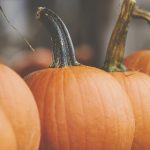 揭秘黑料网吃瓜线路:背后的真相与内幕 qhml7vy