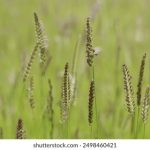 揭秘黑域基地解压密码:获取方法与注意事项 r3y4h9o